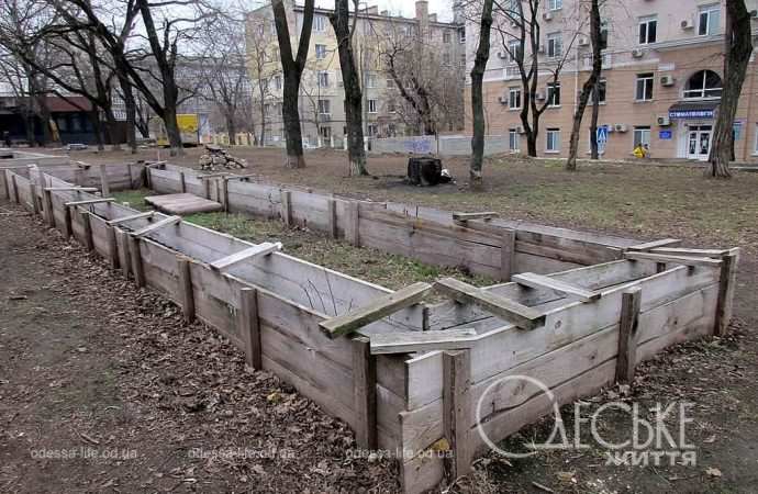 в сквере Регенсбург, Одесса, февраль 2024