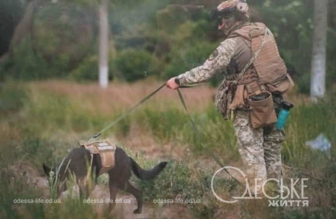 Фоторабота Бориса Бухмана