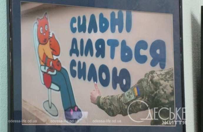 Фотовыставка Бориса Бухмана в Одессе, кот-патриот