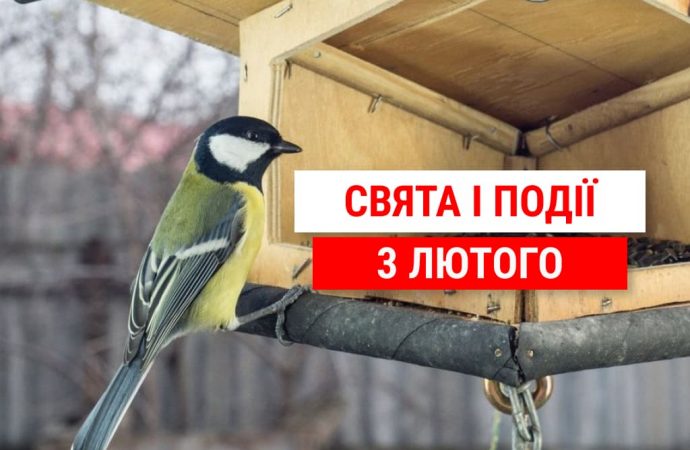 День сегодня: 3 февраля стоит покормить птиц и культурно разговаривать