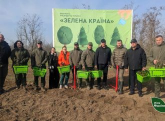 В Одесской области появятся леса нового типа: в этом году высадят три миллиона деревьев