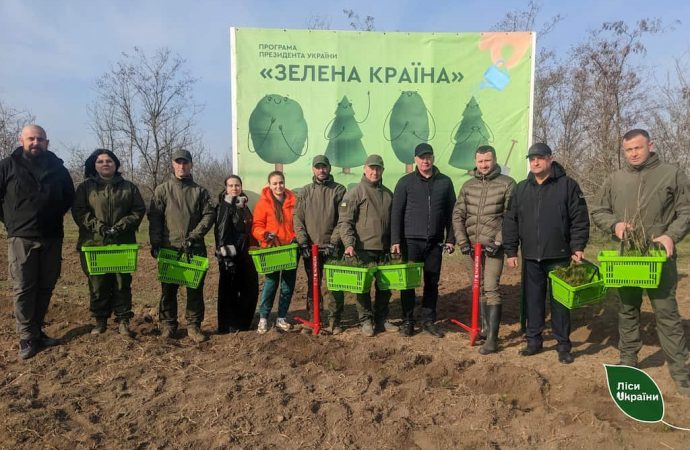 В Одеській області з’являться ліси нового типу: цього року висадять три мільйони дерев