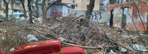 В Одессе внутри жилого квартала обнаружили стихийную свалку
