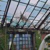 В Одессе от обстрела пострадал ботанический сад: горожан просят помочь с уборкой в теплицах (фото)