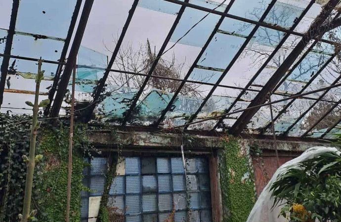 В Одессе от обстрела пострадал ботанический сад: горожан просят помочь с уборкой в теплицах (фото)