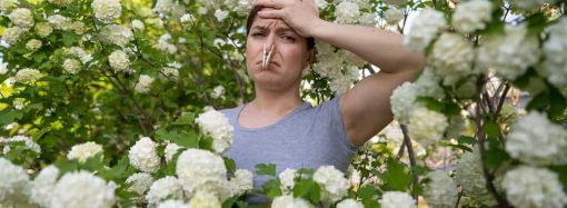 В слезах и соплях: есть ли спасение от сезонной аллергии? Выясняем у эксперта