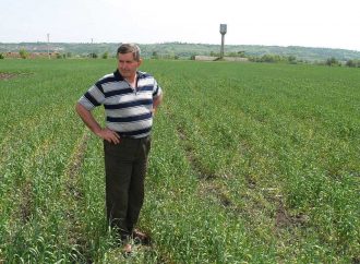Хлеб выращивать непросто, но руки не опускаем: разговор с фермером Андреем Терновым