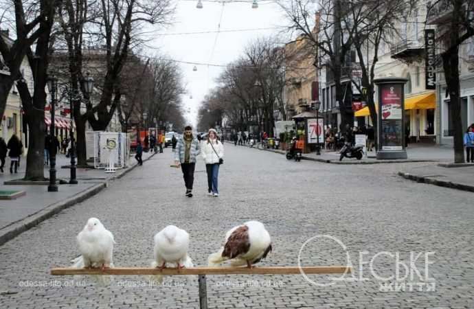 Погода в Одесі: чи чекати на похолодання в середу 6 березня