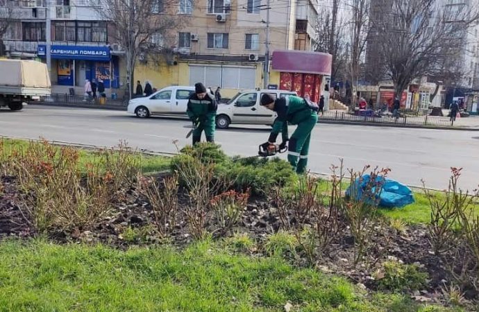 В Одессе готовят газоны к высадке