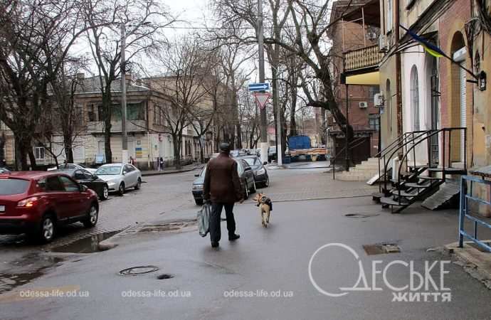 Март в Одессе, лужи