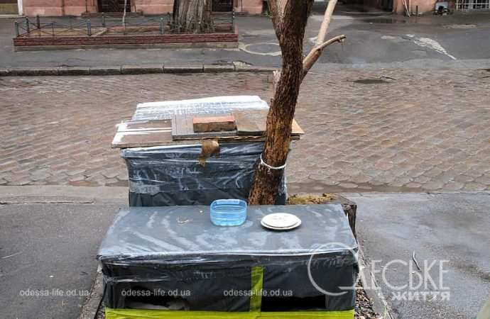 Март в Одессе, стол