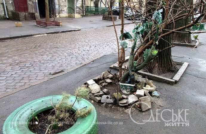 Март в Одессе, цветник