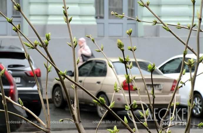 Март в Одессе, авто