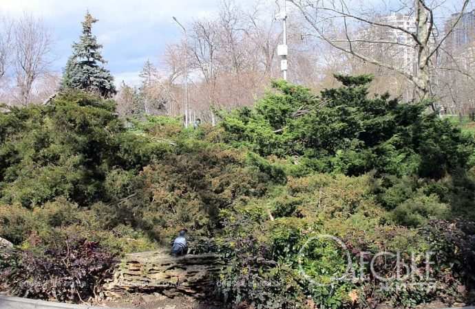 Одесский Парк Победы