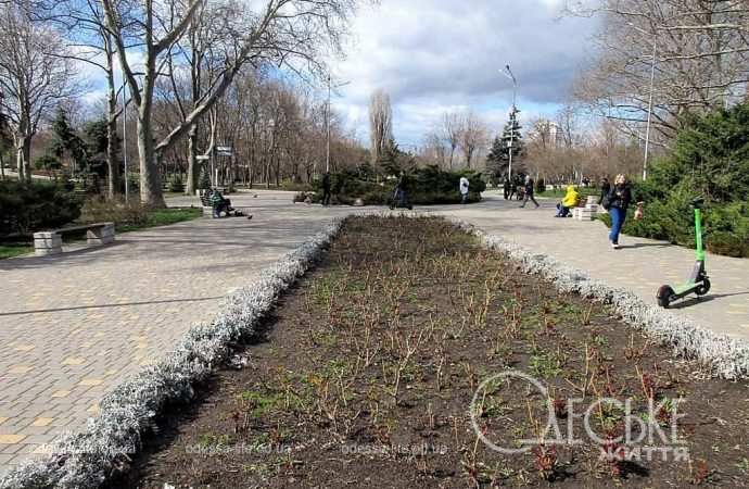 Парк Победы, аллеи