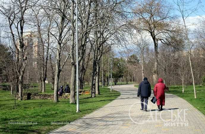 Погода в Одессе: сохранится ли тепло в последний мартовский день