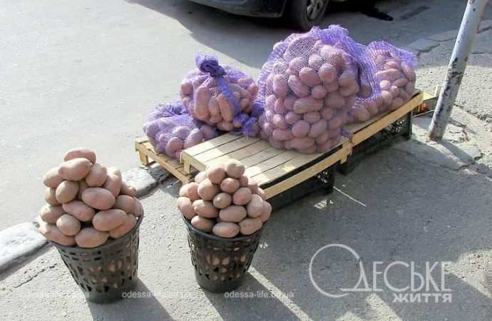 Новый рынок, картошка