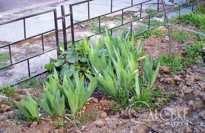 Одеса в березні