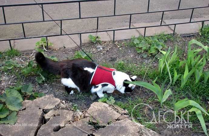 Одеса в березні