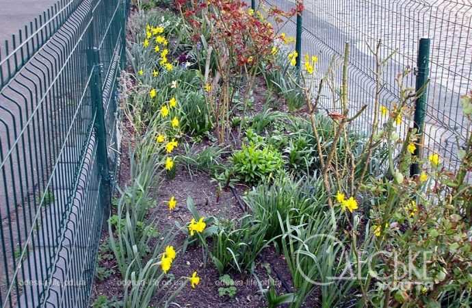 Одеса в березні