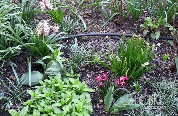 Одеса в березні