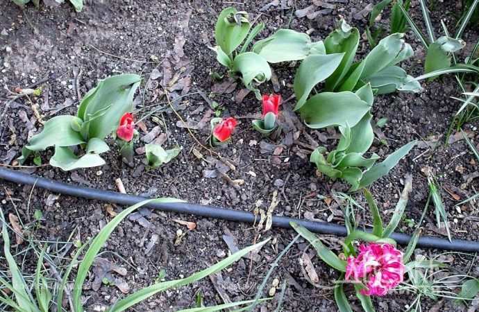 Одесса в марте