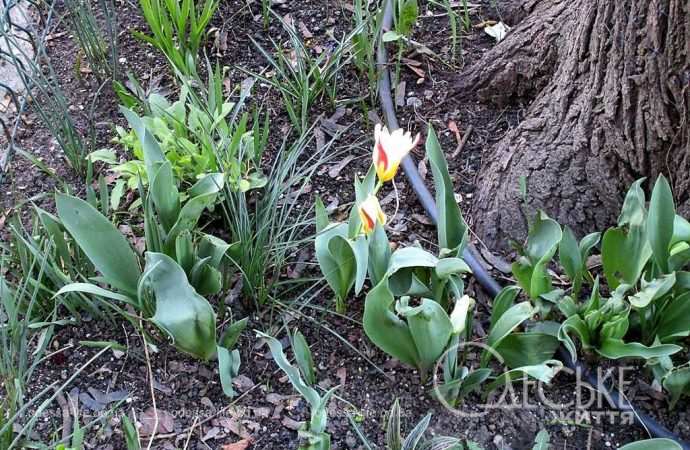 Одеса в березні