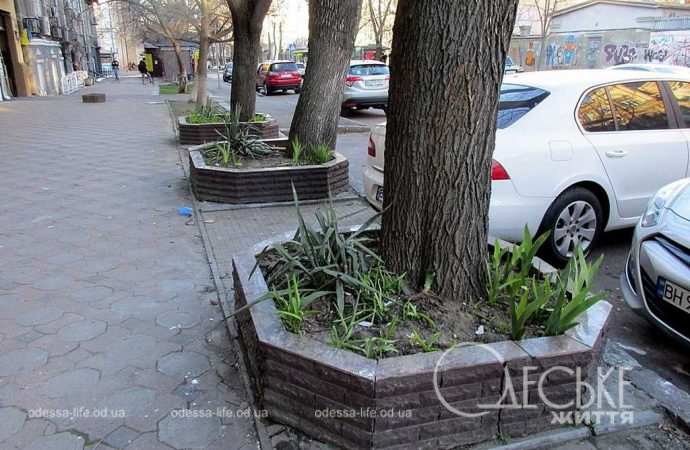 Одеса в березні