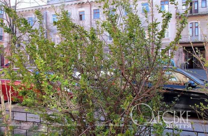 Одеса в березні