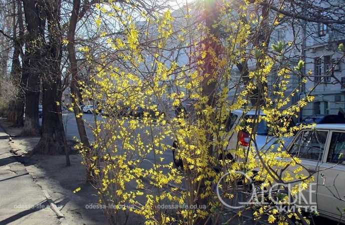 Одеса в березні