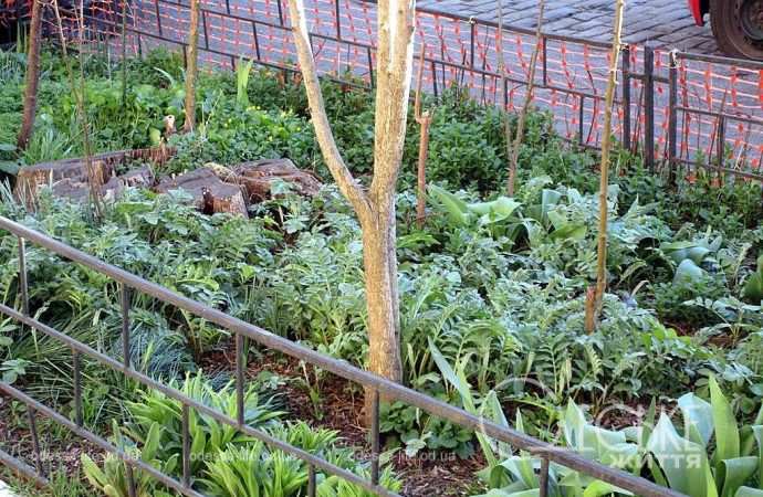 Одеса в березні