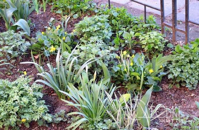 Одеса в березні