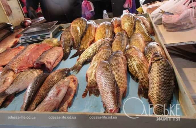 Рыба на Привозе