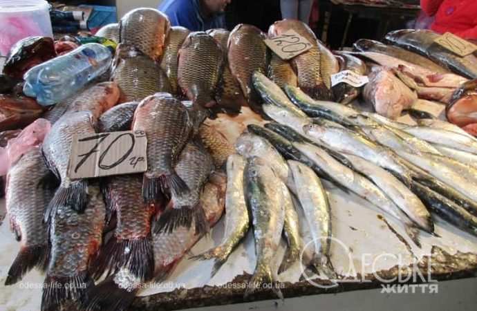 Одесский Привоз, рыбные ряды