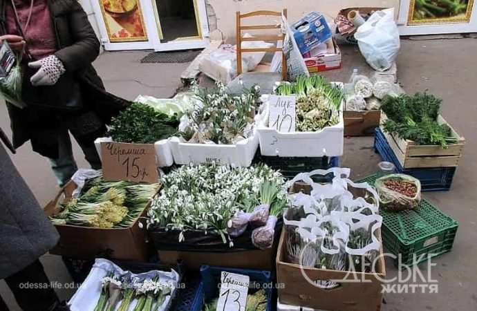 Привоз накануне 8 марта