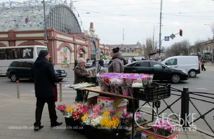 Одесский Привоз: где найти самые дешевые цветы? (фотофакт)