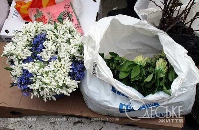 Привоз в кануне 8 марта