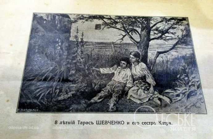 Иллюстрации к книгам Шевченко