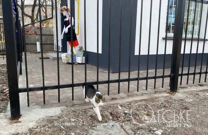 Одесская улица в Киеве6