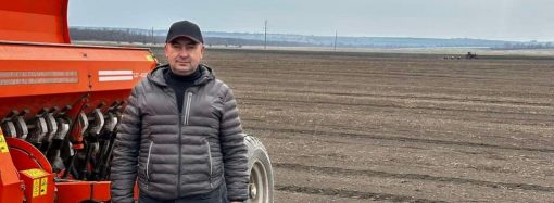 Война, засуха и нестабильный рынок: аграрий из Васильевки рассказал, как выживает в это непростое время