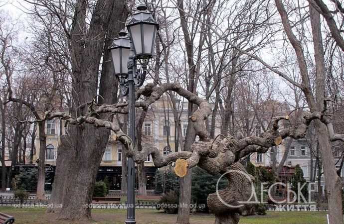 день в Горсаду