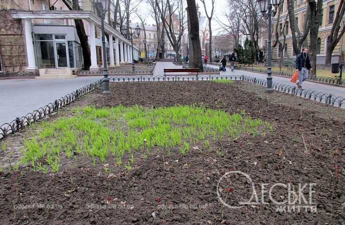 день в Горсаду