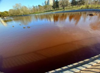 Коричнева вода в одеському парку Перемоги може бути небезпечною, – біолог (відео, доповнено)
