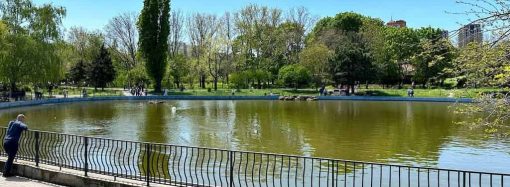 В Одессе начнут благоустраивать парки: появятся площадки для детей и выгула собак