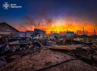 В масштабном пожаре под Одессой сгорели домашние животные (фото)
