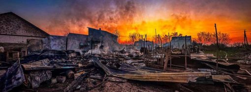 У масштабній пожежі під Одесою згоріли домашні тварини (фото)