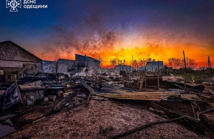 В масштабном пожаре под Одессой сгорели домашние животные (фото)