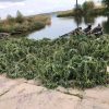 В Одесской области устанавливают сотни искусственных гнезд для рыб (фото)