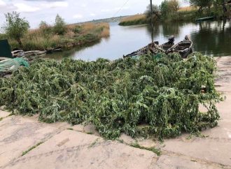 В Одесской области устанавливают сотни искусственных гнезд для рыб (фото)
