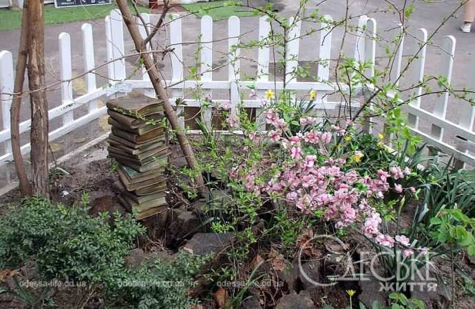 Апрель по-одесски